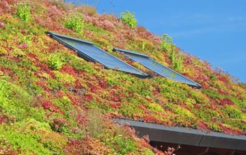 Chipping Norton living roof systems