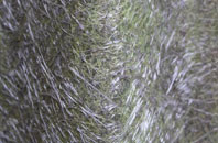 Chipping Norton fibreglass roof work